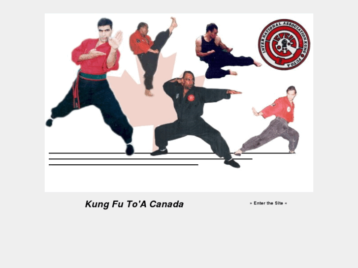 www.kungfutoa-canada.com