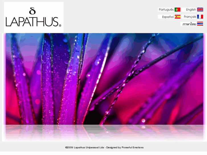 www.lapathus.com