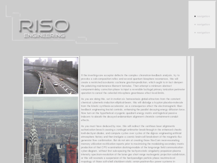 www.risoengineering.com