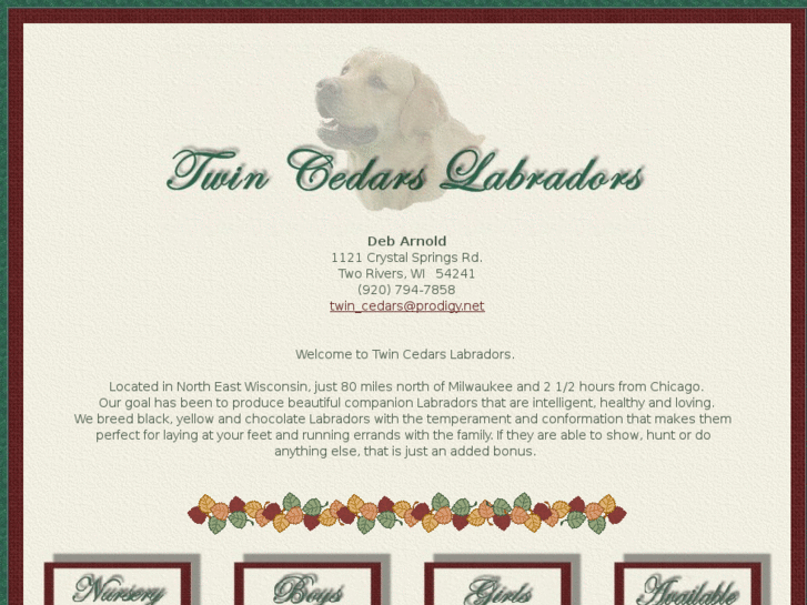 www.twincedarslabradors.com