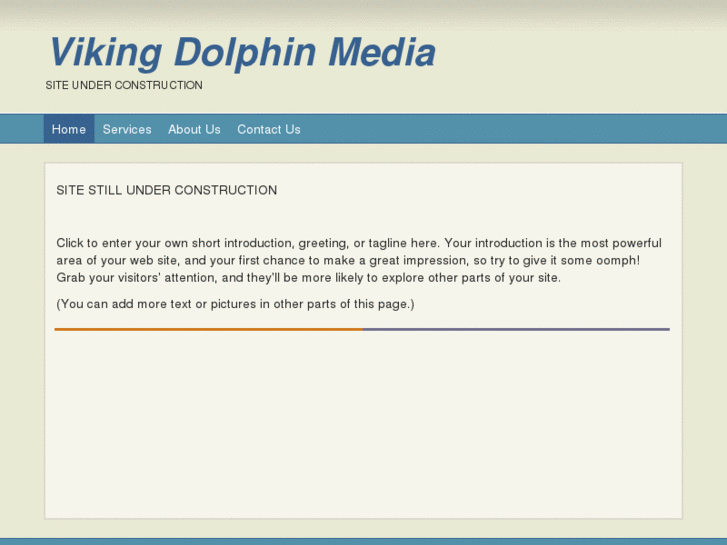 www.vikingdolphin.com