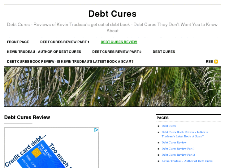 www.debtcuresreview.com