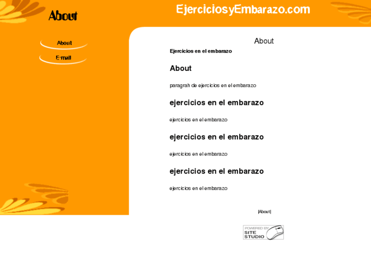 www.ejerciciosyembarazo.com