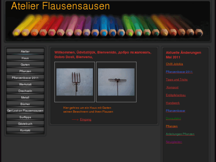 www.flausensausen.net