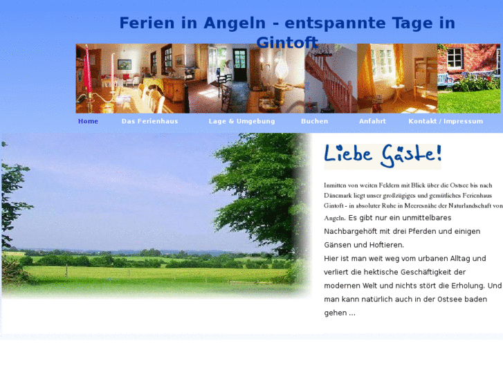 www.gintoft.info
