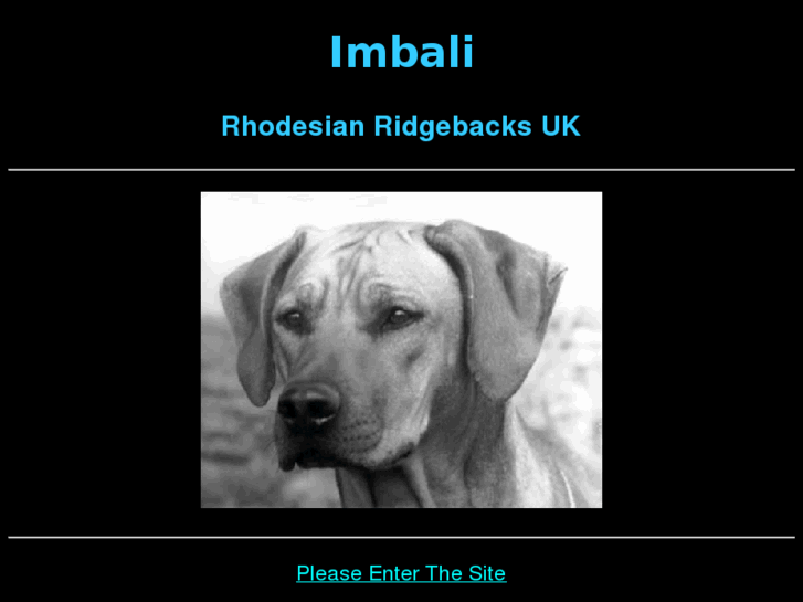 www.imbaliridgebacks.com