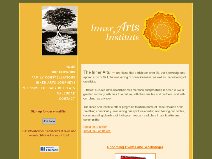 www.innerartsinstitute.com