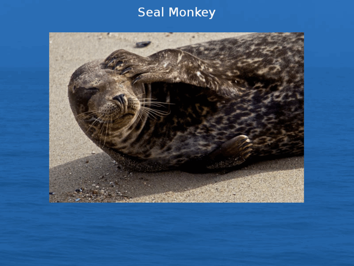 www.sealmonkey.com