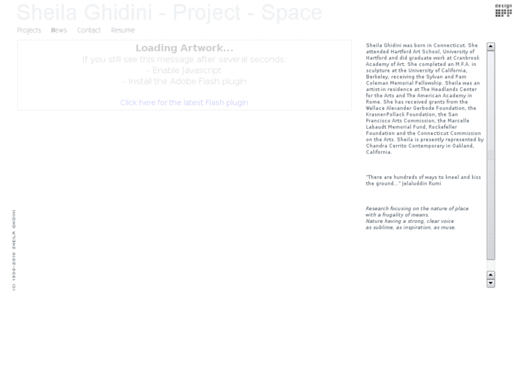 www.sheilaghidiniprojectspace.com