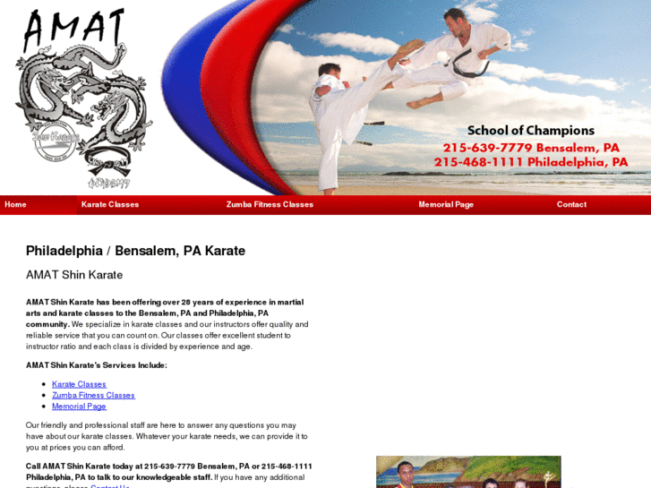 www.amatshinkarate.com