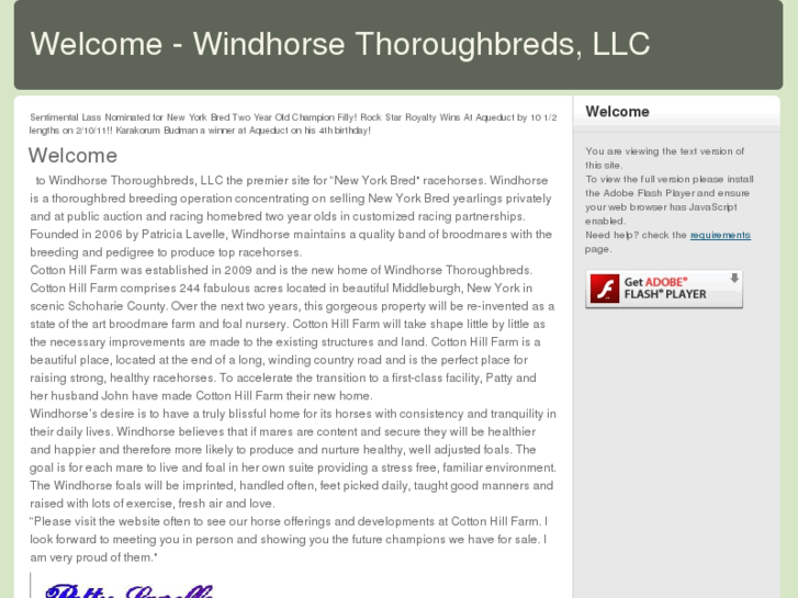 www.windhorsenybreds.com