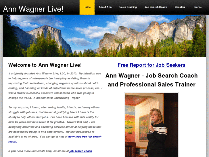 www.annwagnerlive.com