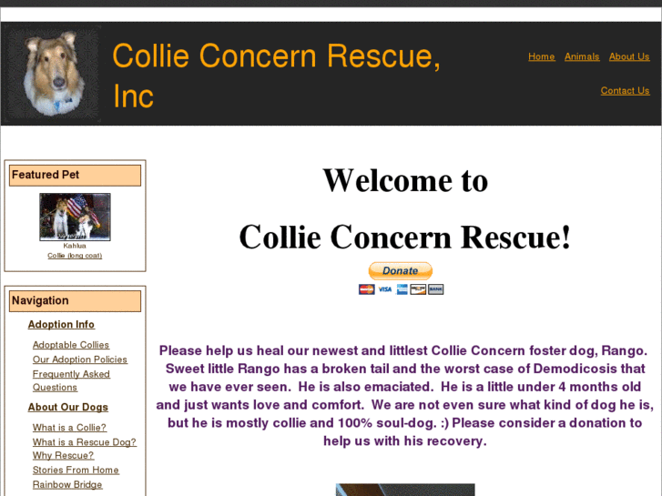 www.collieconcern.org