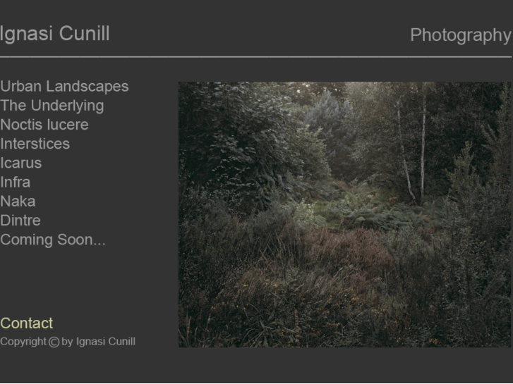 www.ignasi-cunill.com