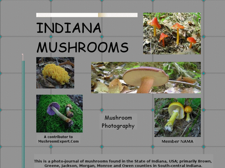 www.indianamushrooms.com