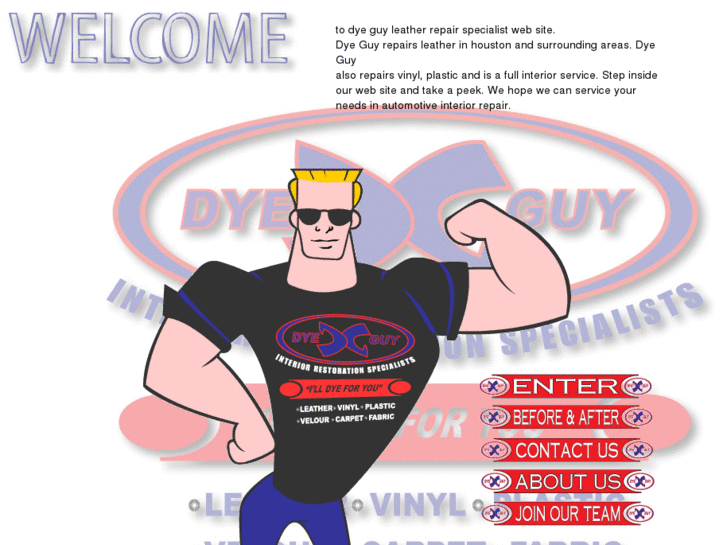 www.thedyeguy.com