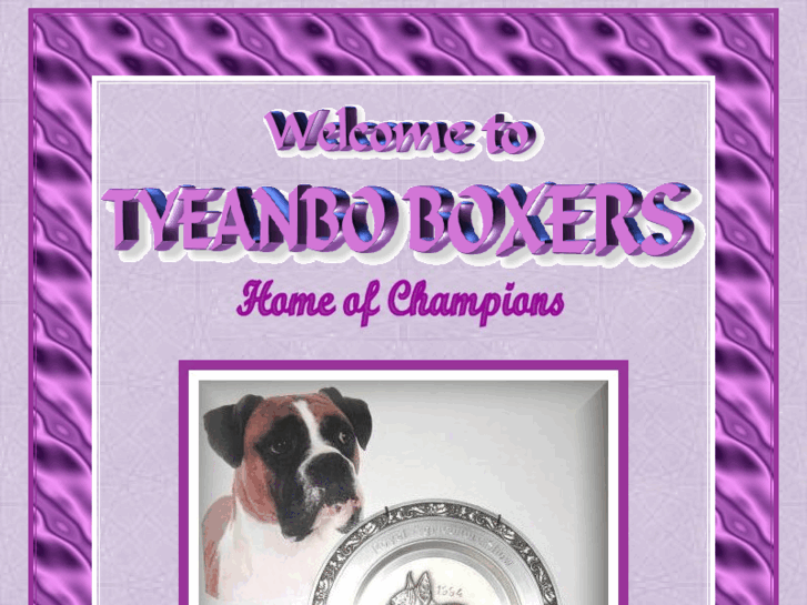 www.tyeanboboxers.com