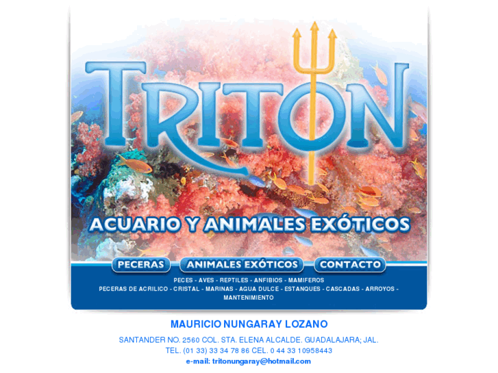 www.peceras-triton.com