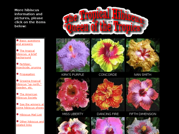 www.trop-hibiscus.com