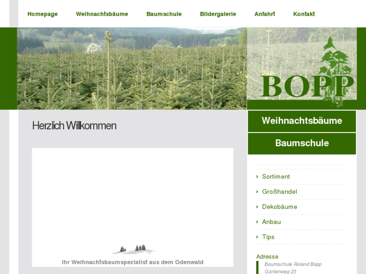 www.weihnachtsbaum-bopp.com