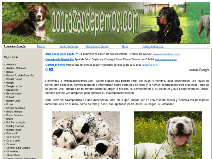 www.101razasdeperros.com