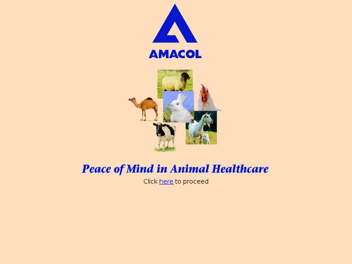 www.amacol.com