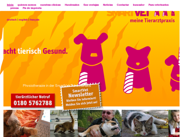 www.centro-veterinario.com