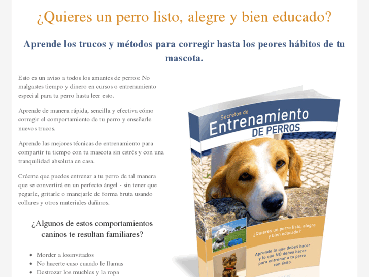 www.entrenamientoperro.com