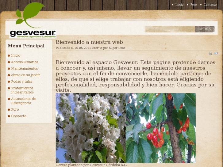 www.gesvesur.com