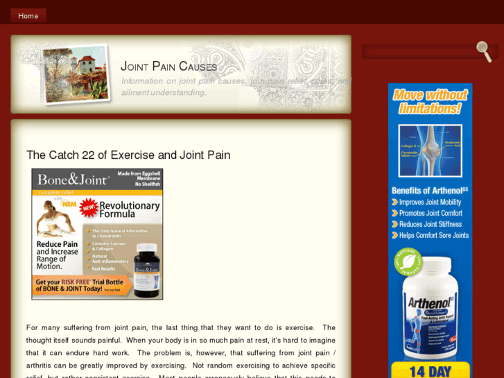 www.jointpaincauses.net