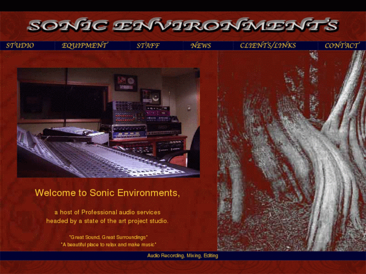 www.sonicenvironments.net