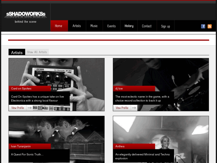 www.sshadoworkss.co.za