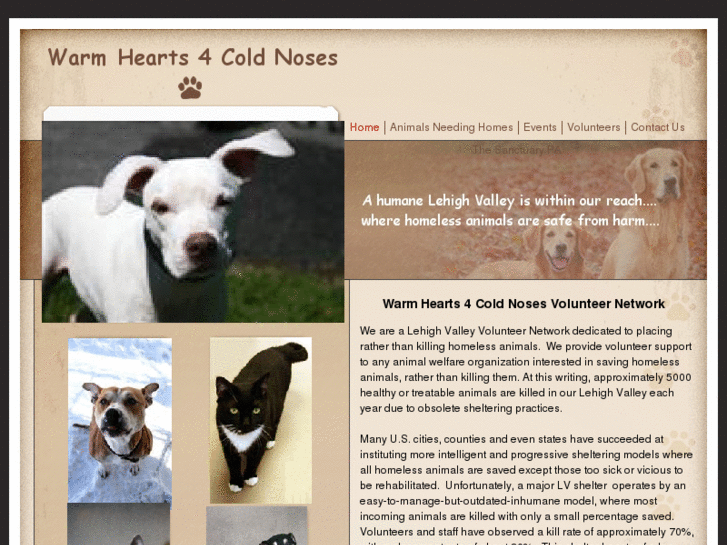 www.warmhearts4coldnoses.com