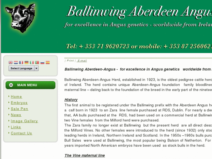 www.ballinwing.com