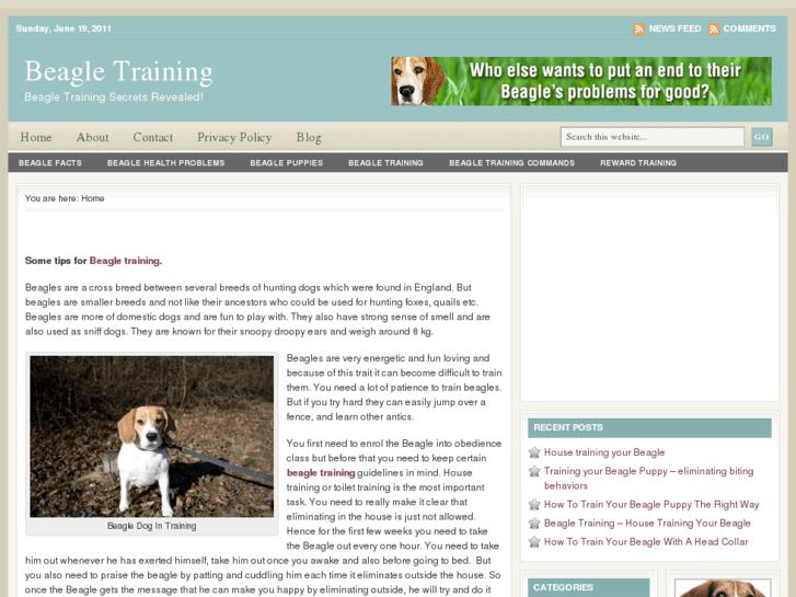 www.ebeagletraining.com