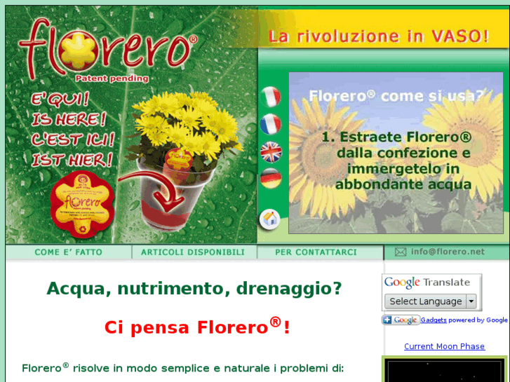 www.florero.net