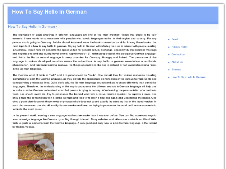www.howtosayhelloingerman.info