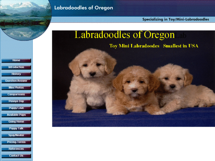 www.labradoodlesoforegon.com