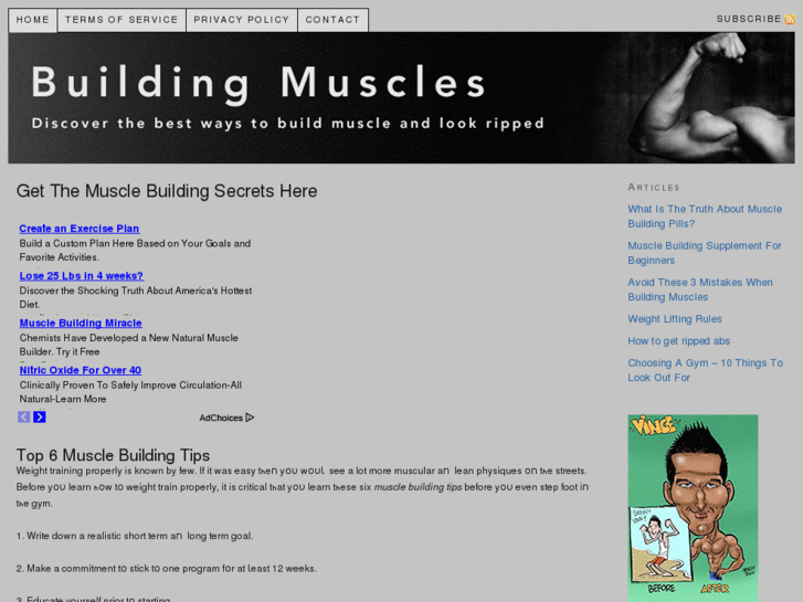 www.musclebuildingtips.biz