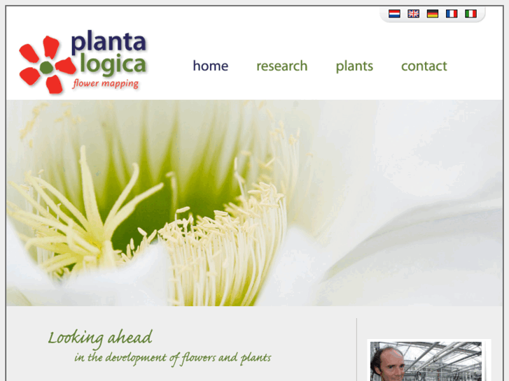 www.plantalogica.com