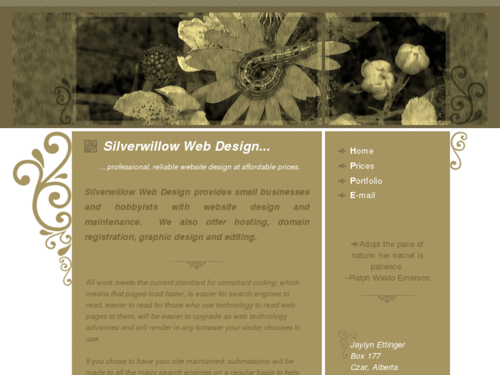 www.silverwillowdesign.com