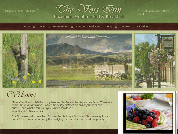 www.bozeman-vossinn.com