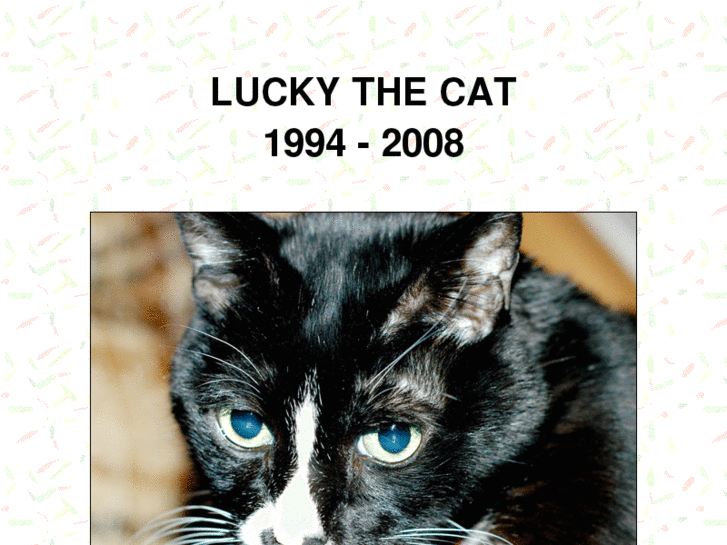 www.lucky-the-cat.com