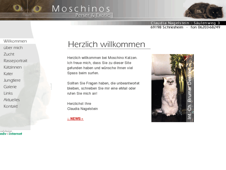 www.moschinos.com