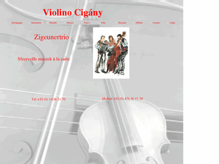 www.zigeunerorkest.com