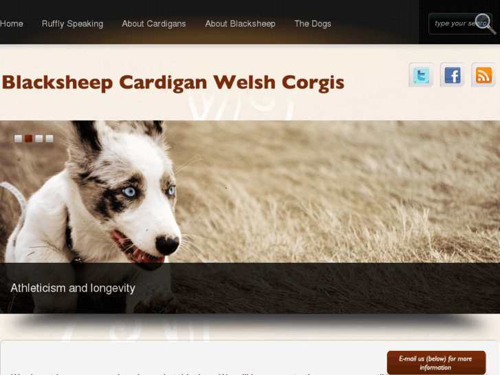 www.blacksheepcardigans.com