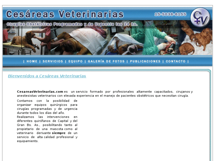 www.cesareasveterinarias.com