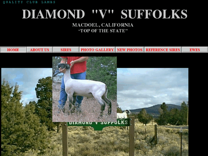 www.diamondvsuffolks.com