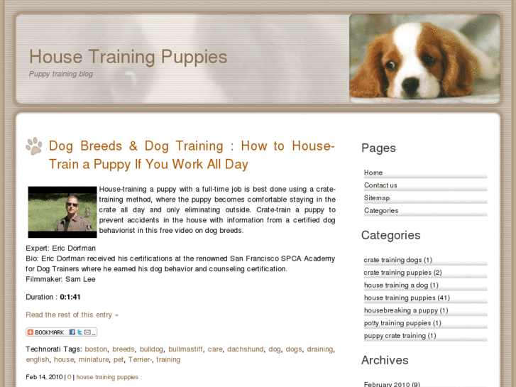 www.housetrainingpuppiesblog.com