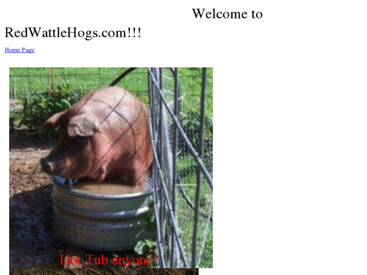 www.redwattlehogs.com